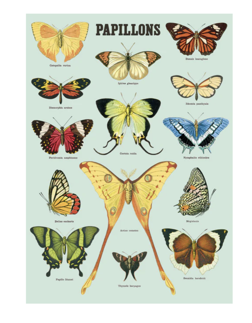 Cavallini Paper Poster «Papillons 1»