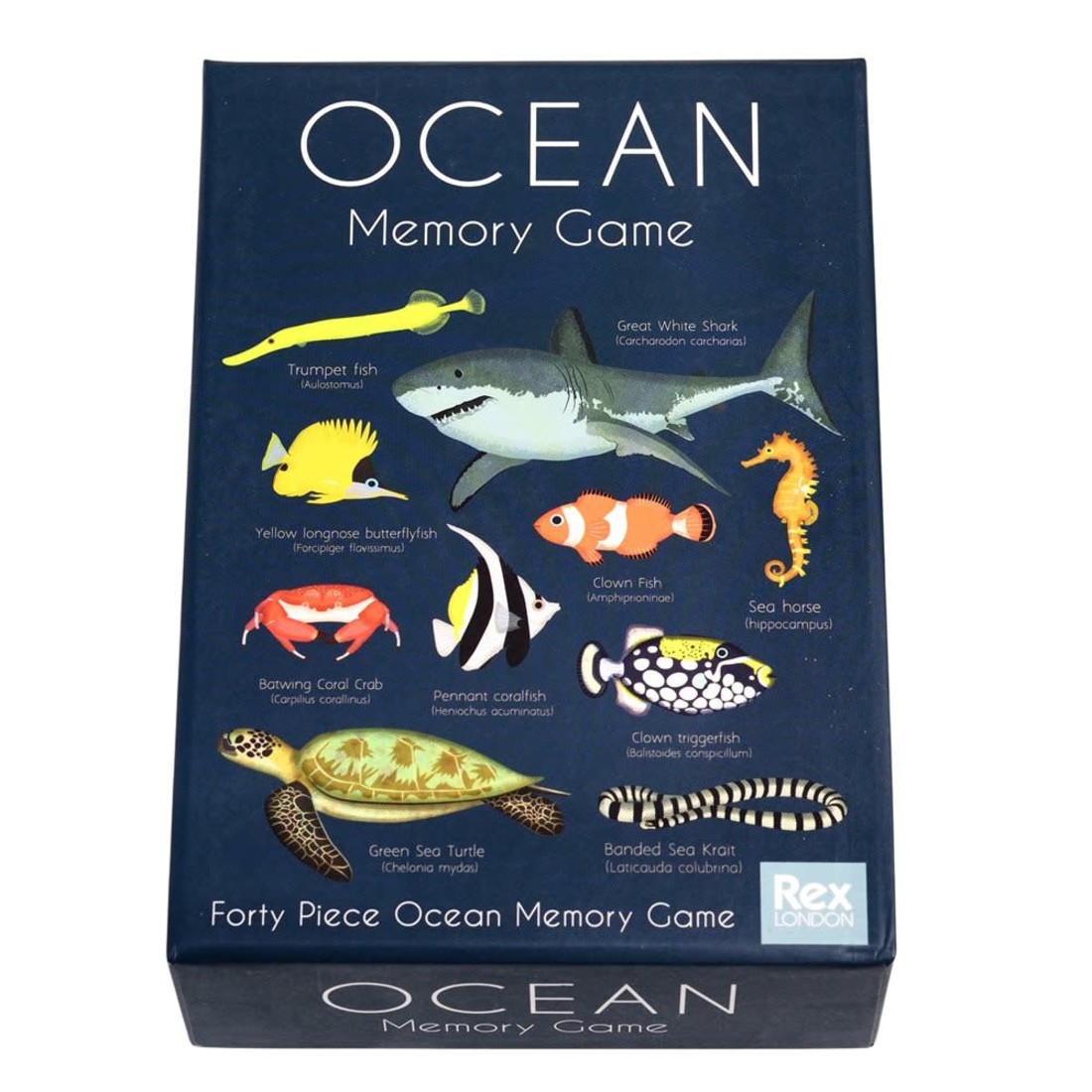 Rex International Memory «Ocean»