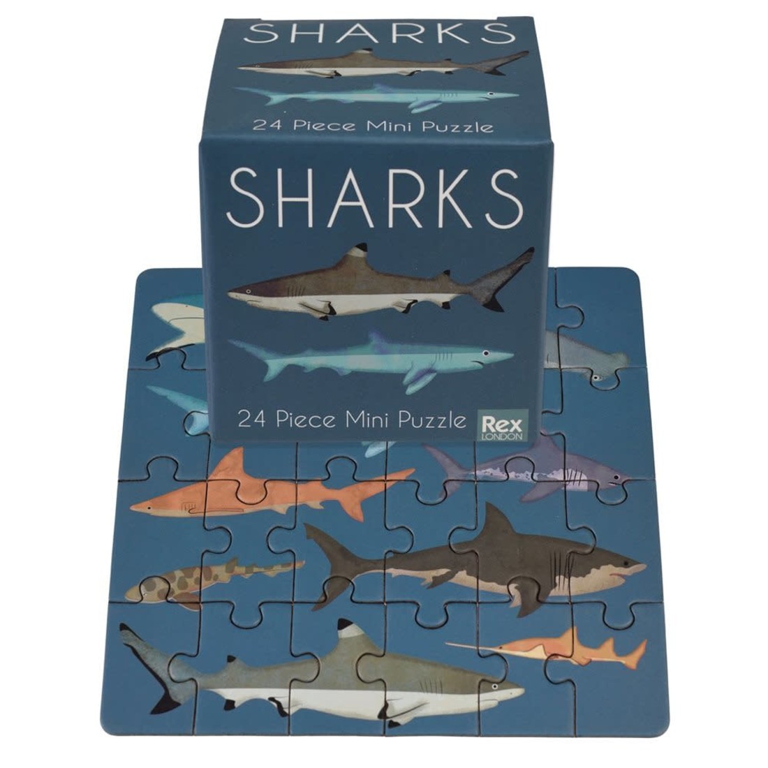 Rex International Mini Puzzle «Sharks»