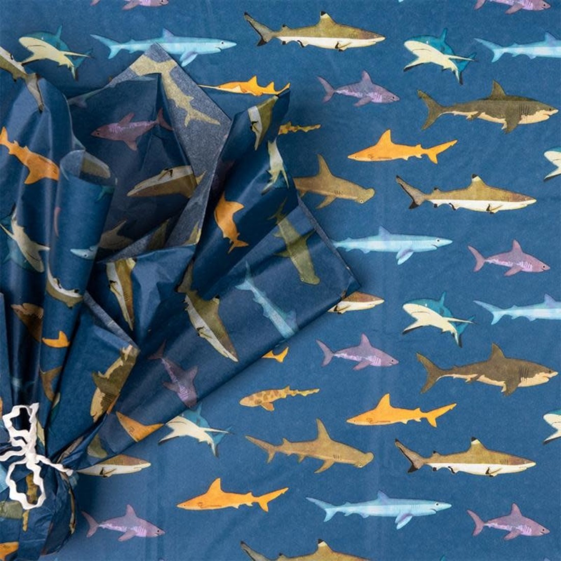 Rex International Seidenpapier «Sharks»