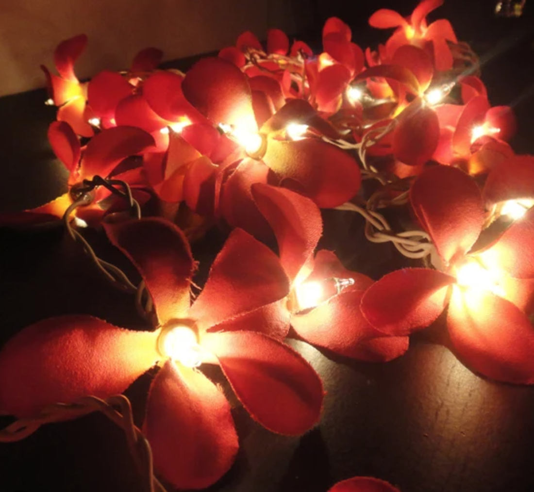 Lichterkette Frangipani rot 20L
