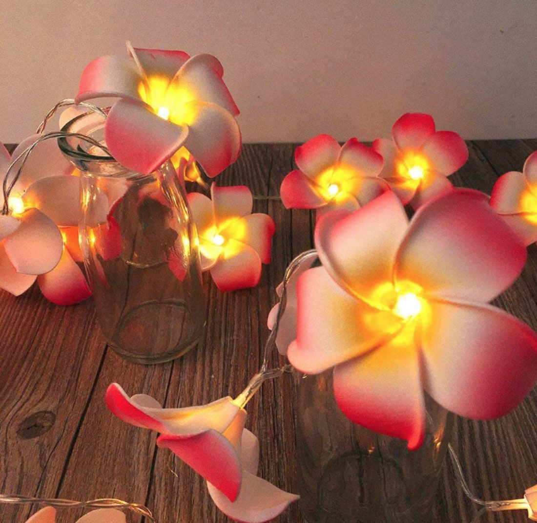 Lichterkette Frangipani rosa 20L