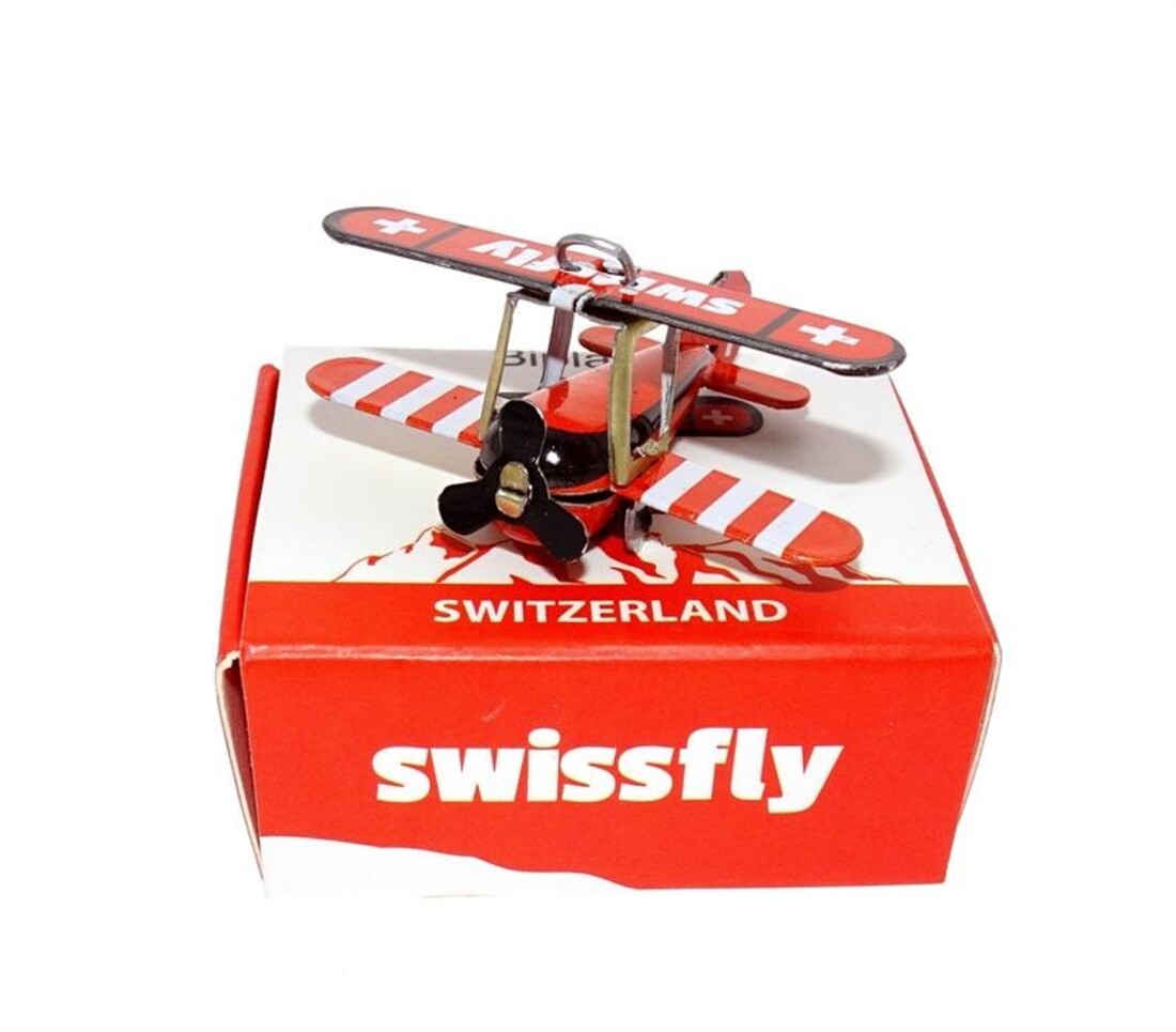 Modellflugzeug «Swissfly»