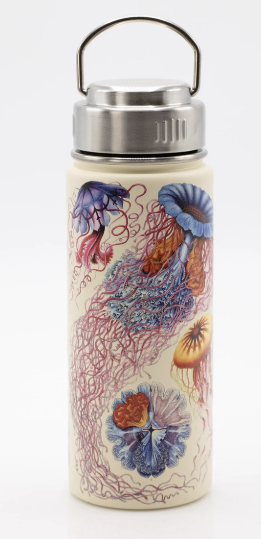 Trinkflasche «Jellyfish»