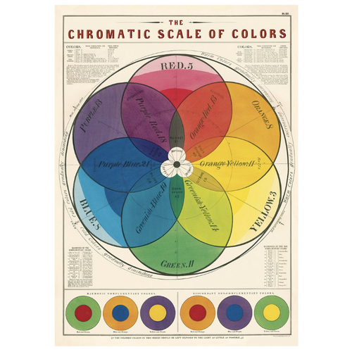 Cavallini Paper Poster «Scale of Colors»