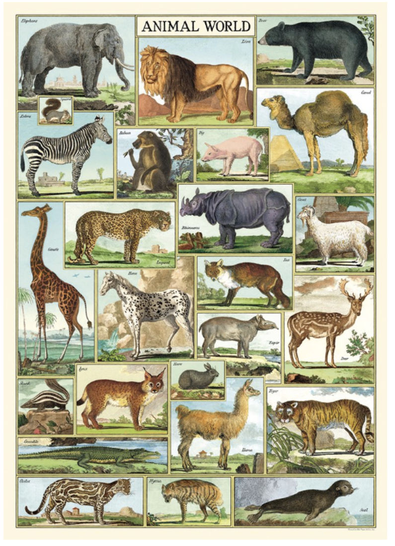 Cavallini Paper Poster «Animal World»