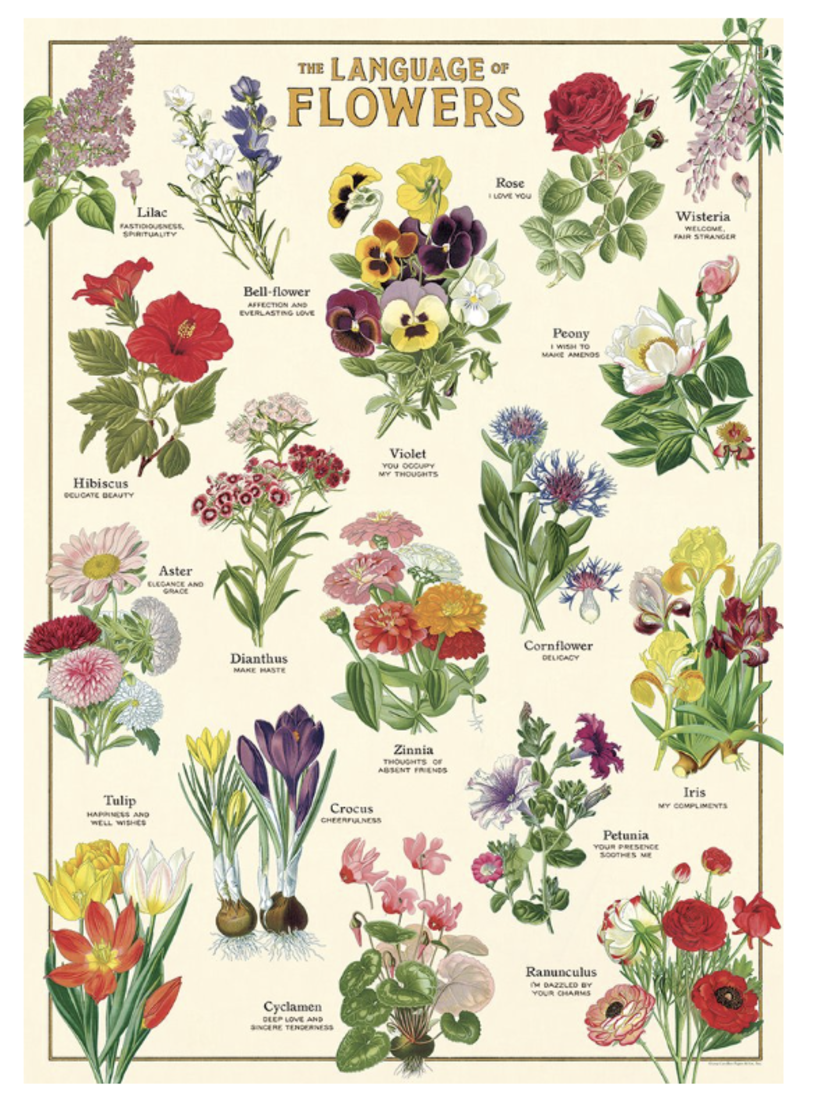 Cavallini Paper Poster «Language of Flowers»