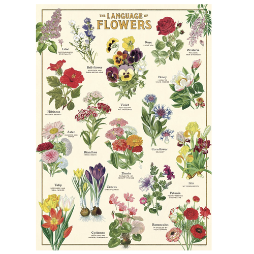 Cavallini Paper Poster «Language of Flowers»