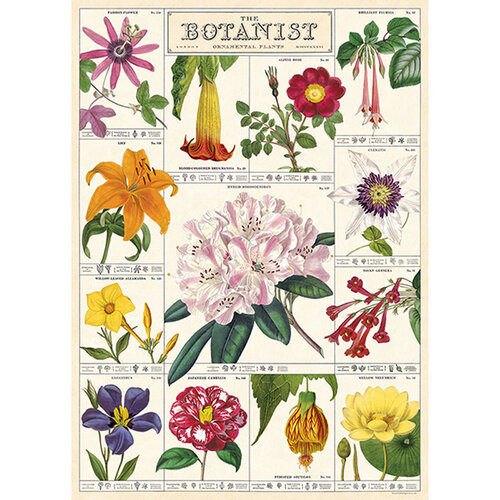 Cavallini Paper Poster «Botanist»