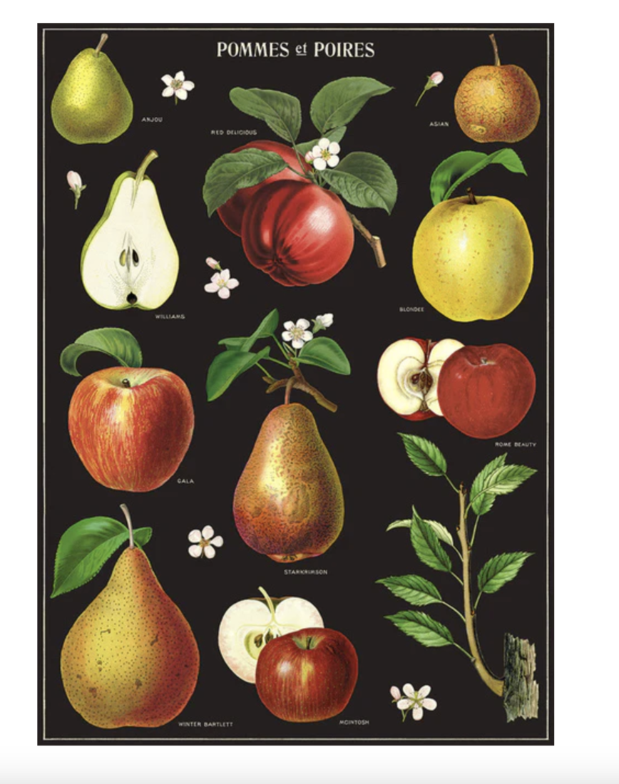 Poster «Apples & Pears»