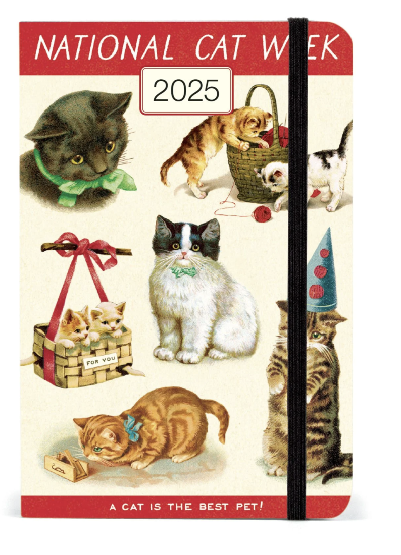 Cavallini Agenda 2025 Cats