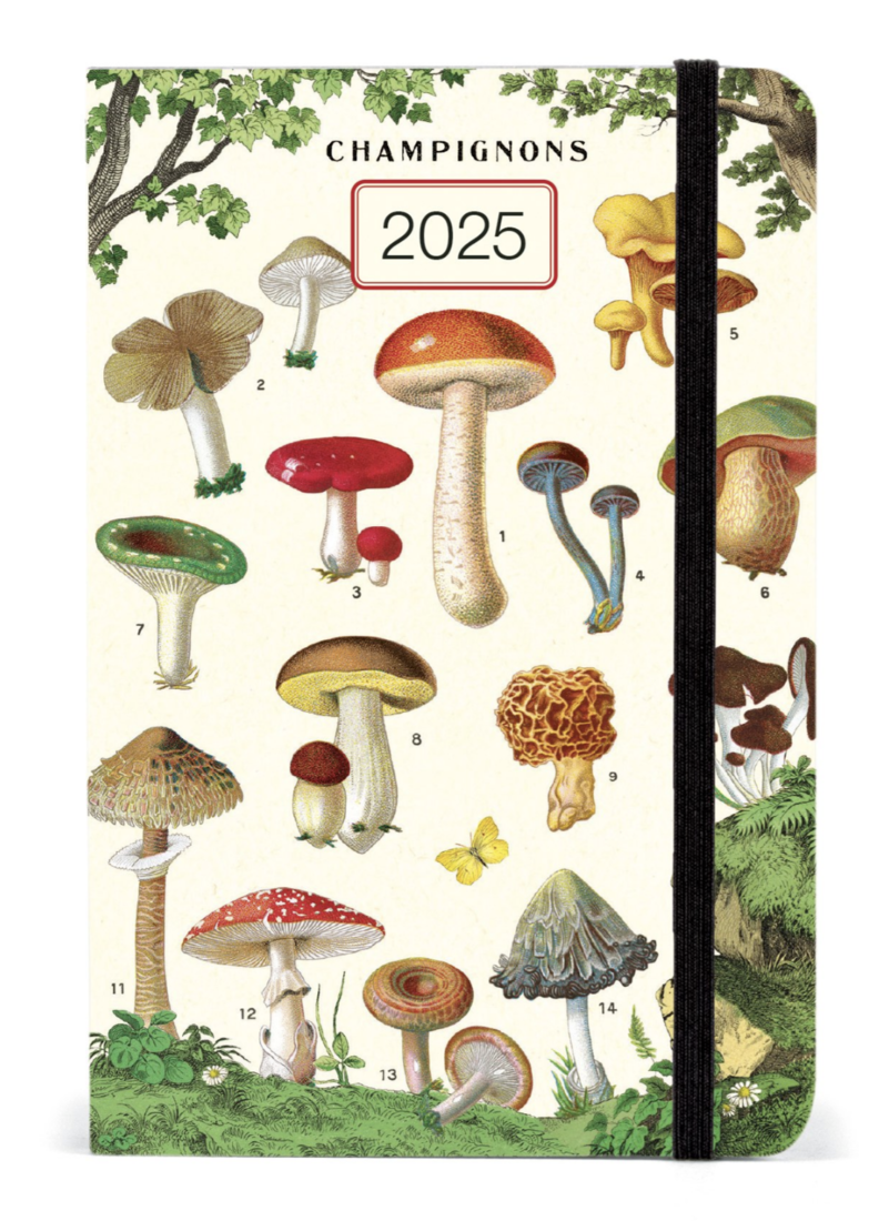 Cavallini Agenda 2025 Champignons