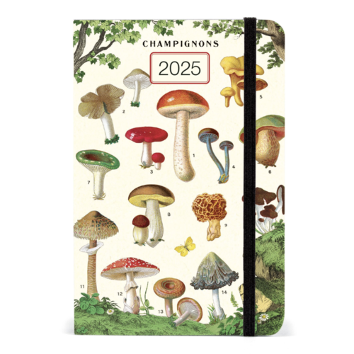 Cavallini Agenda 2025 Champignons