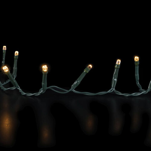 Lichterkette «Fairylight» grün 40 LED