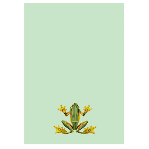 Notizblock Frosch