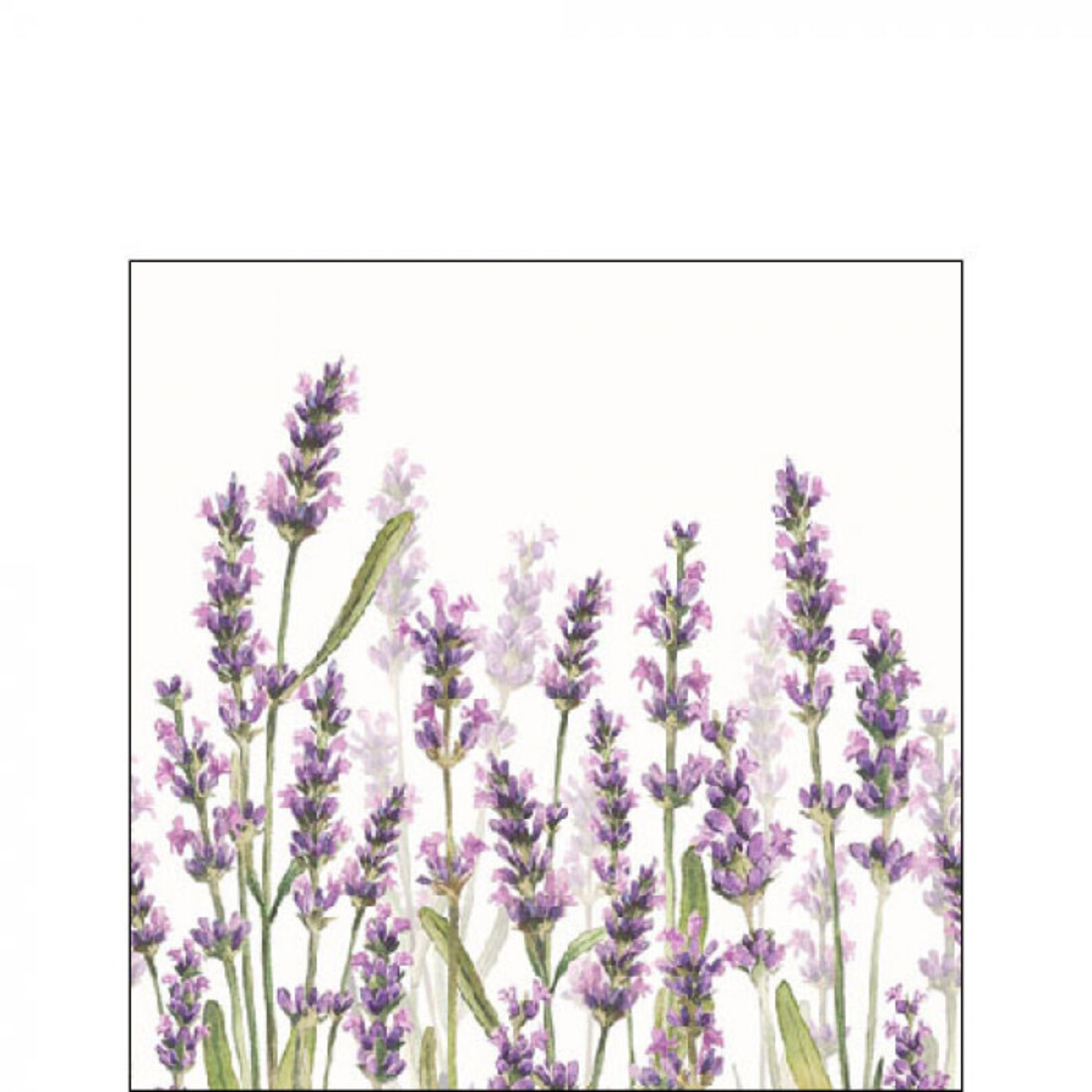 Papierservietten Lavendel weiss