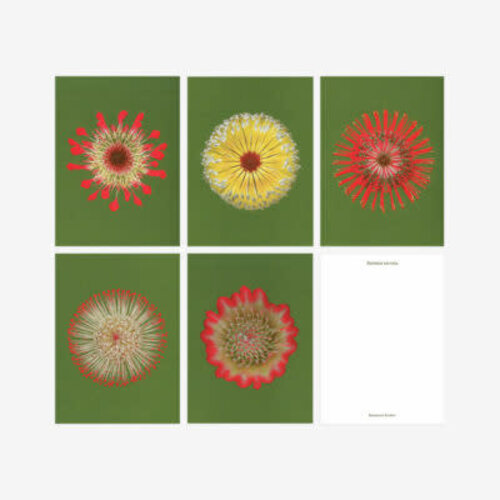 Biophilic Desing Kartenset N° 19 «Fire Flowers»