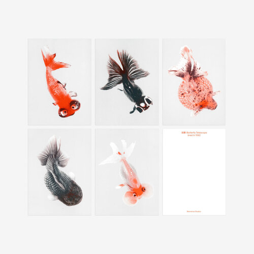 Biophilic Desing Kartenset N° 6 «Morbid Being»
