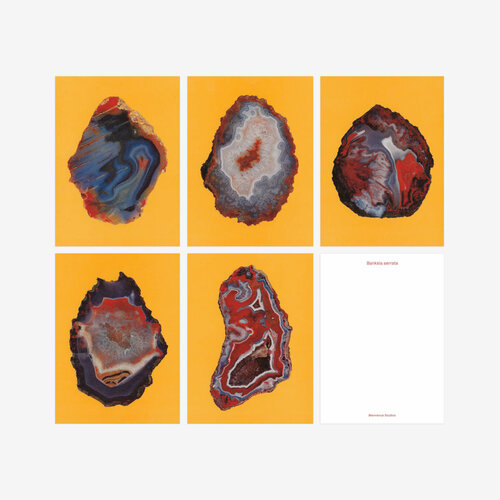 Biophilic Desing Kartenset N° 20 «Mountain Treasures»