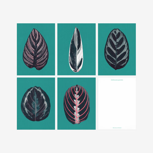 Biophilic Desing Kartenset N° 17 «Praying Hands»