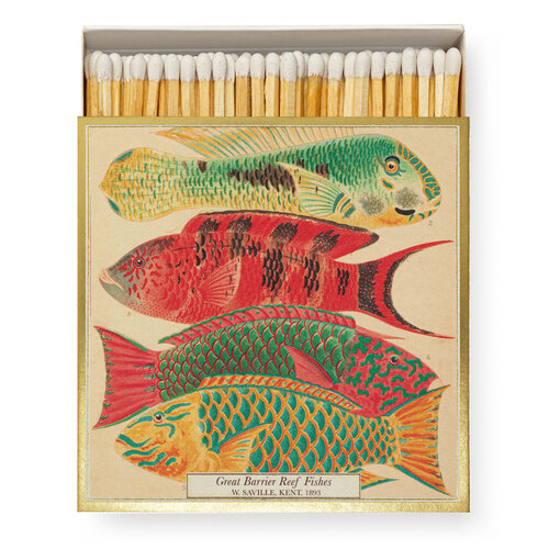 Archivist Gallery Matchbox «Naturhistorisches Museum Fisch»
