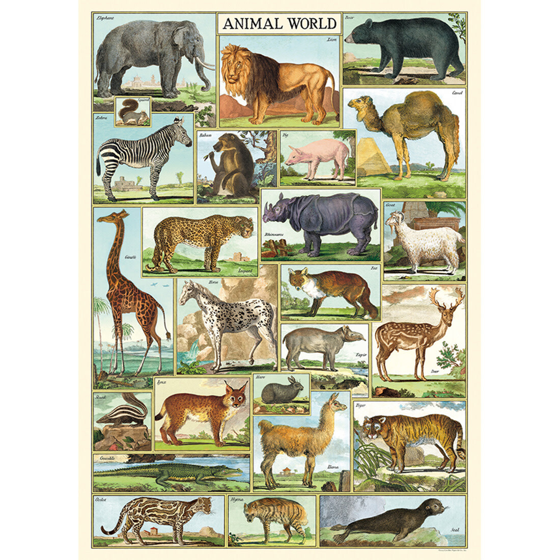 Cavallini Paper Poster «Animal World»