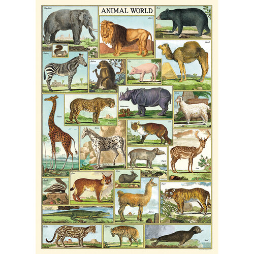 Cavallini Paper Poster «Animal World»