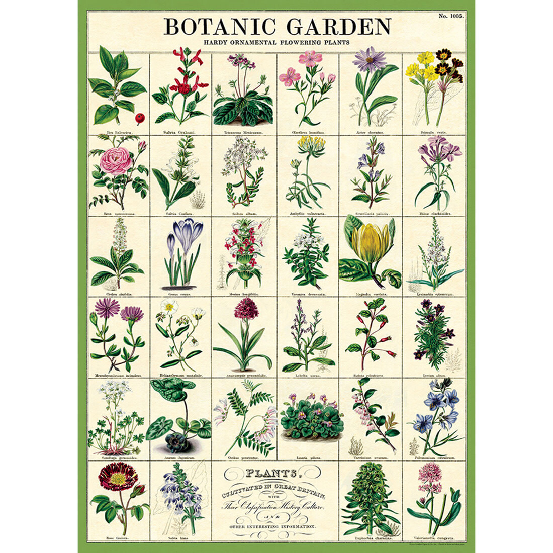 Poster «Botanic Garden»