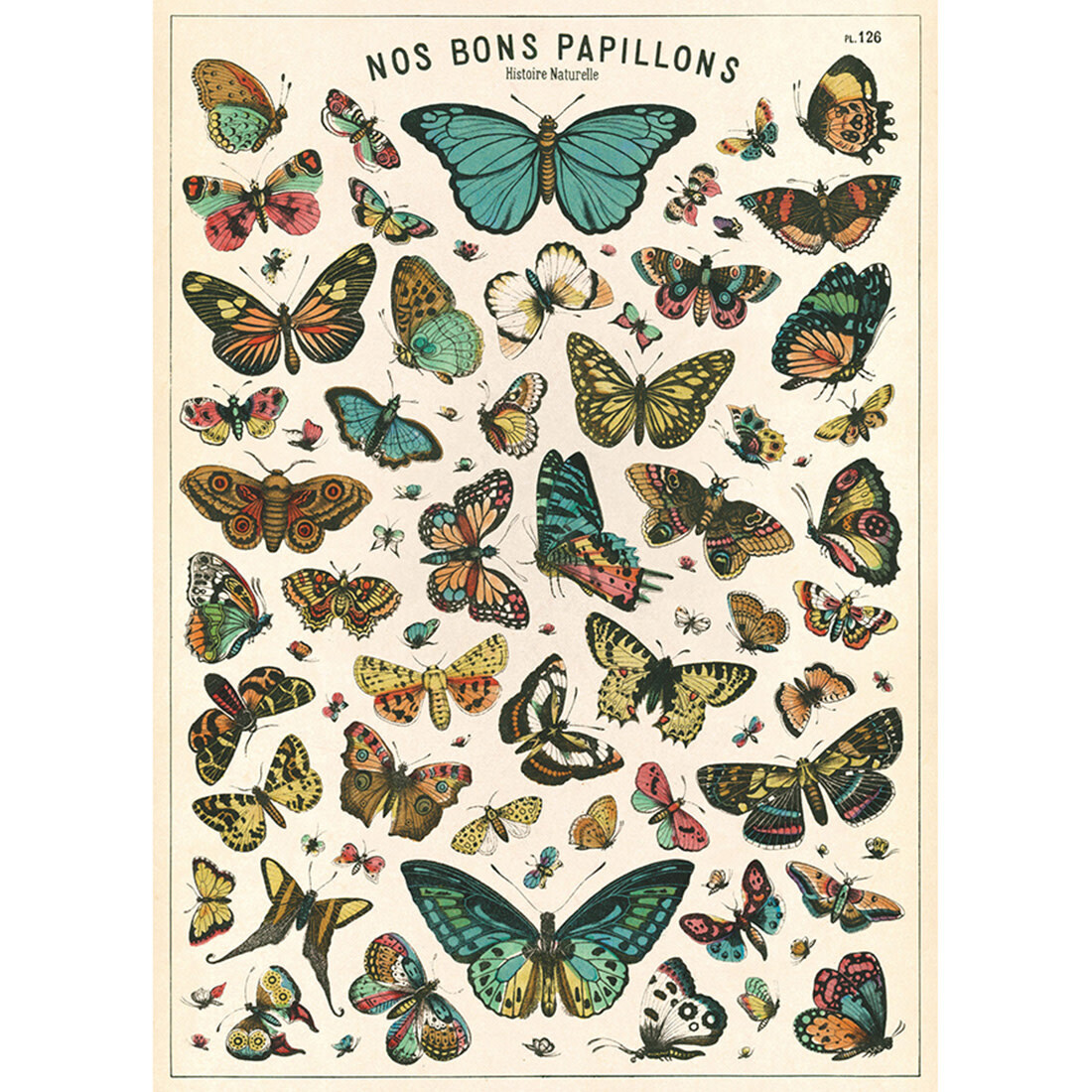 Poster «Papillons»