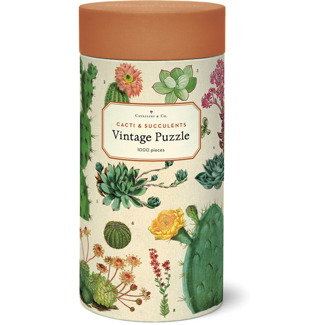 Cavallini Puzzle «Cactus & Succulents»