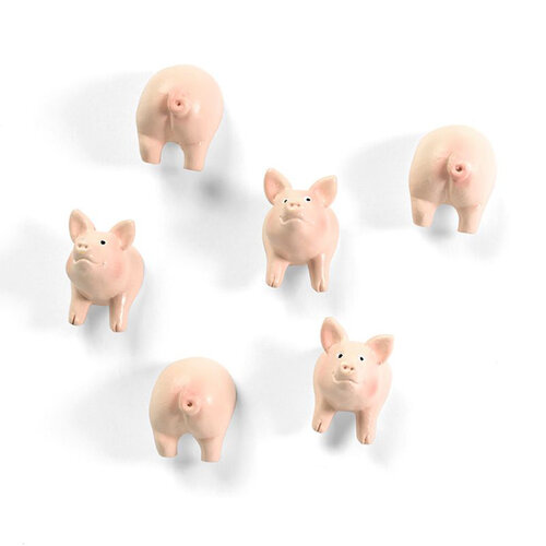 Trendform Magnetset Schweinchen