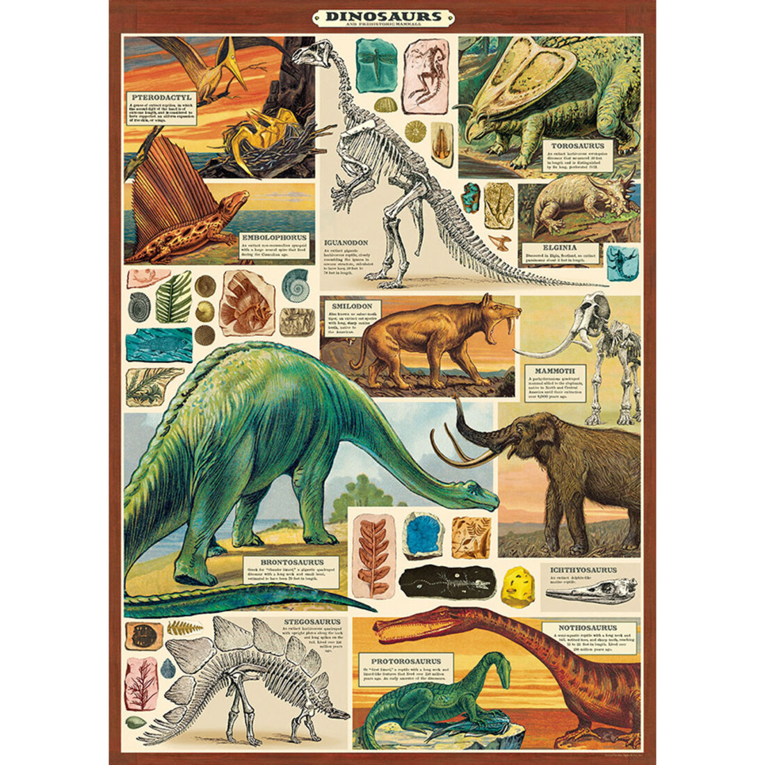 Cavallini Paper Poster Dinosaurier