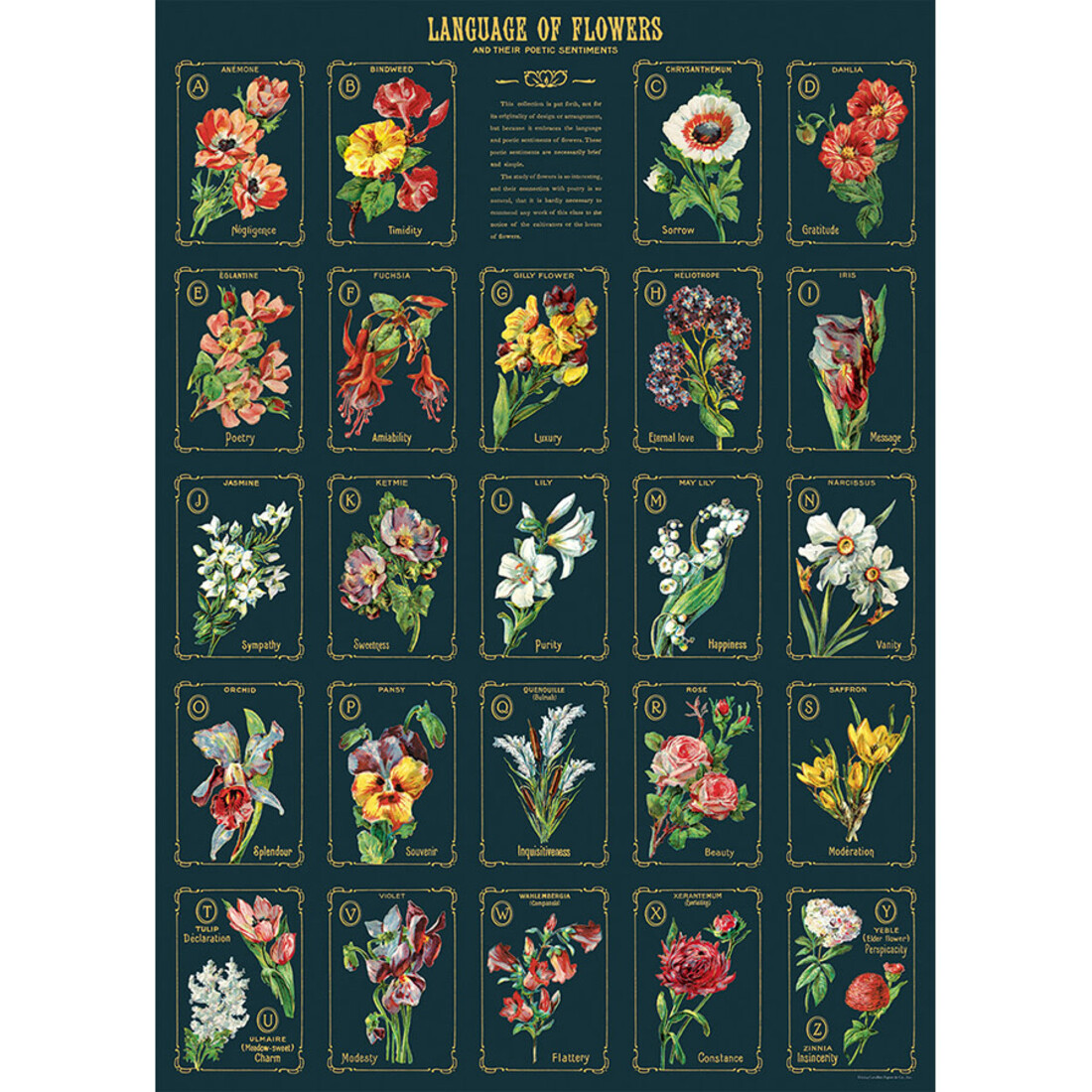 Cavallini Paper Poster «Language of Flowers»