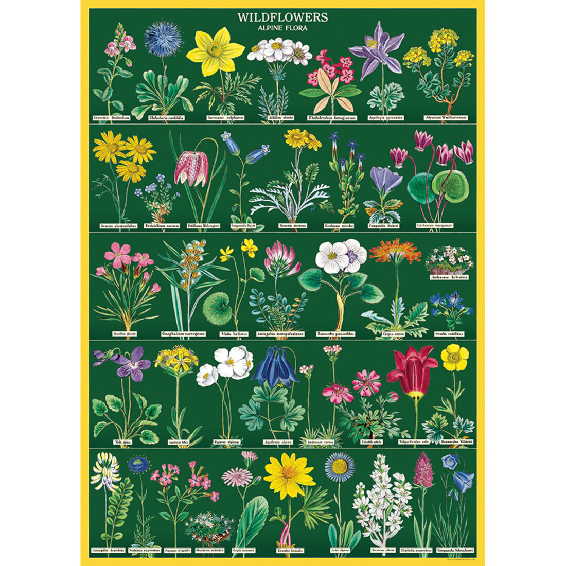 Cavallini Paper Poster Wildflowers
