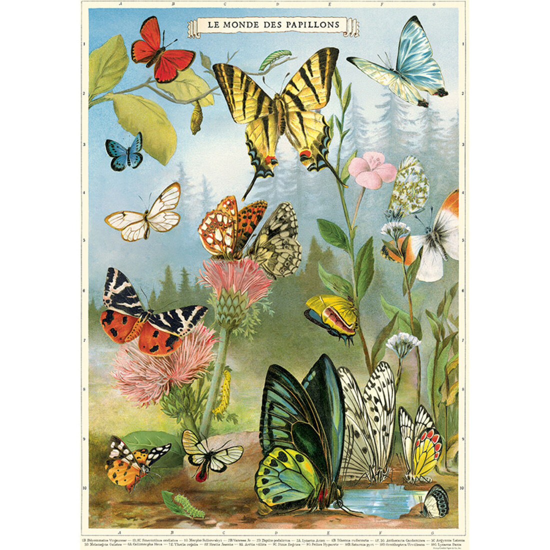 Cavallini Paper Poster «Butterflies»