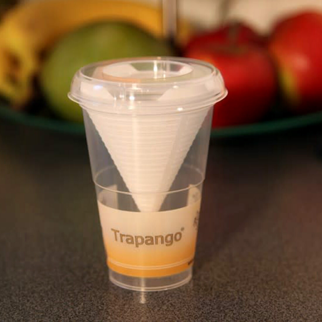 Macur Fruchtfliegenfalle «Trapango»