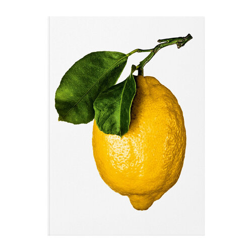 The Gourmand's Lemon