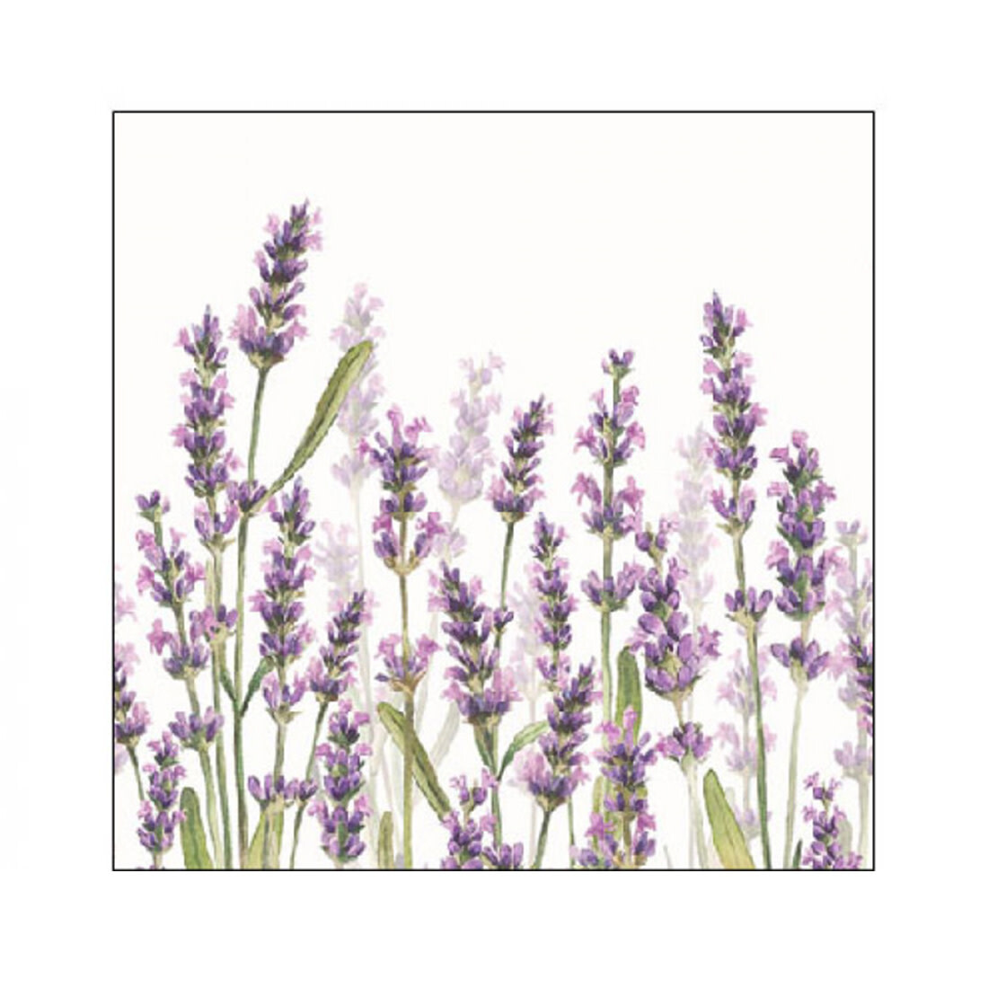 Papierservietten Lavendel weiss