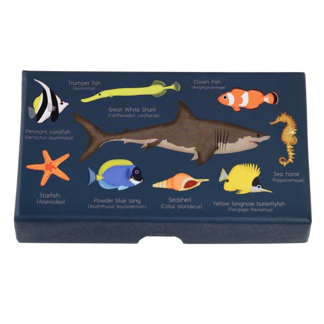 Rex International Stempelset «Ocean»