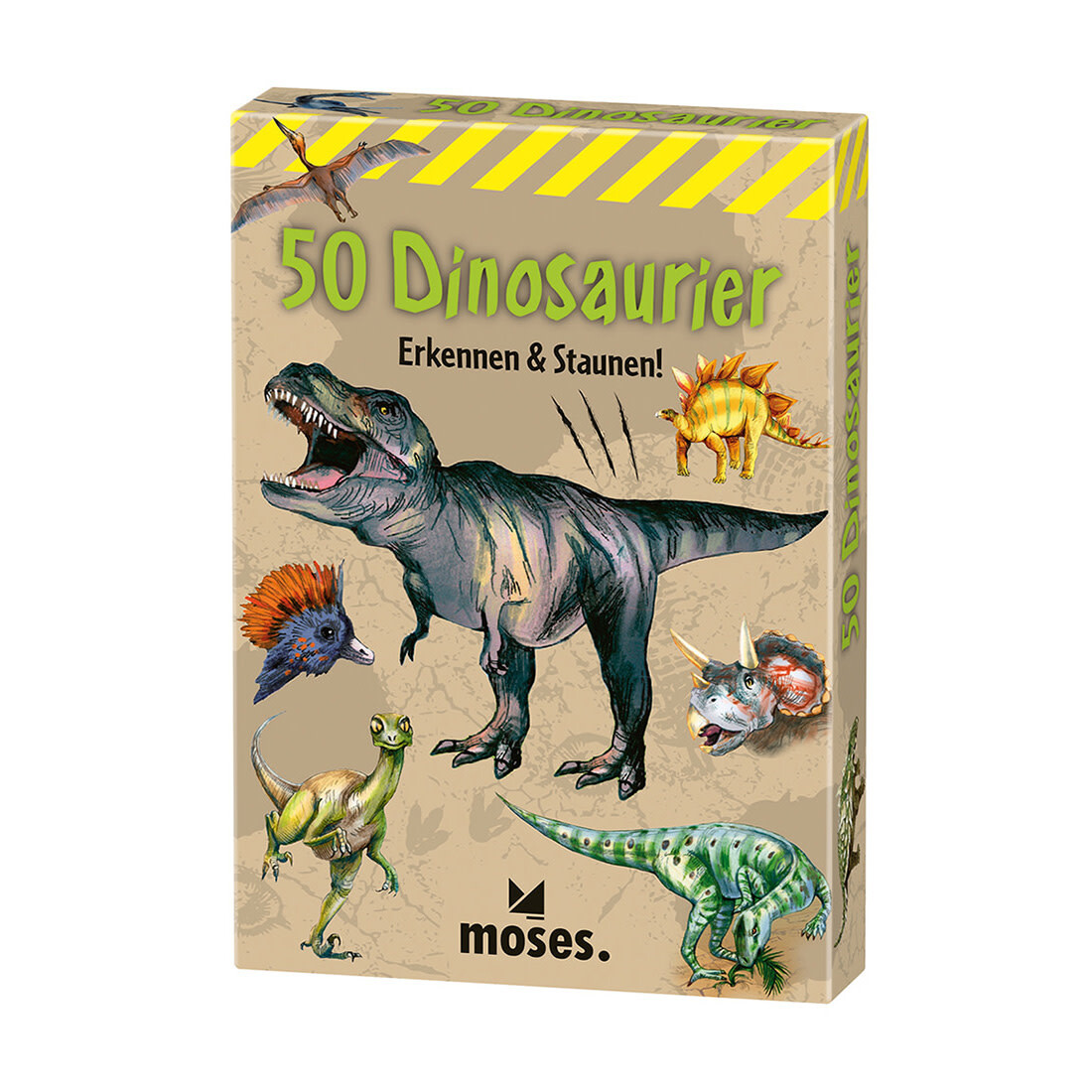 moses 50 Dinosaurier