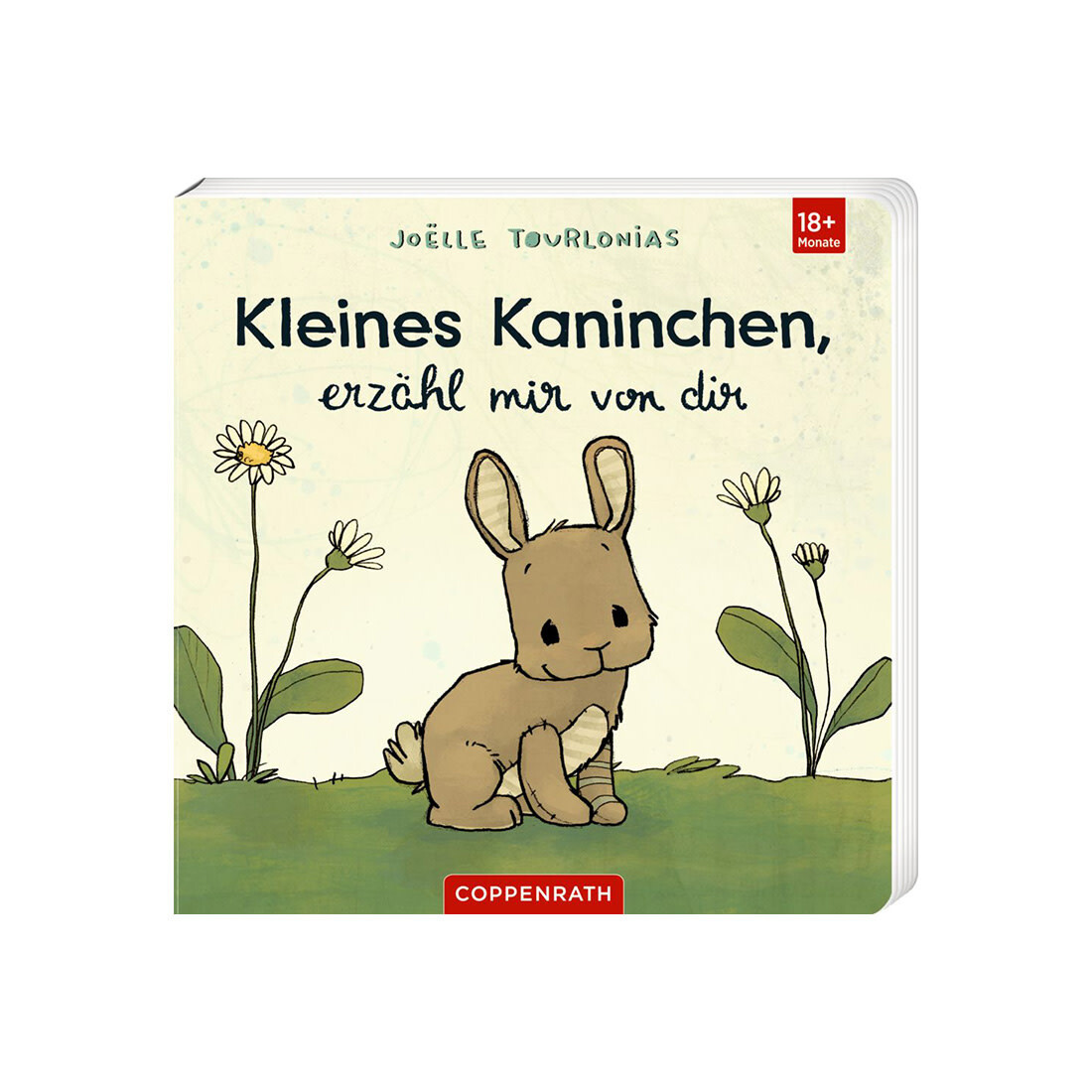 Kleines Kaninchen erzählt mir von dir