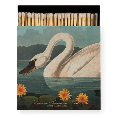 Archivist Gallery Matchbox «The Common American Swan»