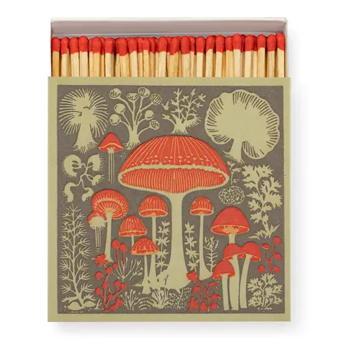 Archivist Gallery Matchbox «Mushrooms by Real»