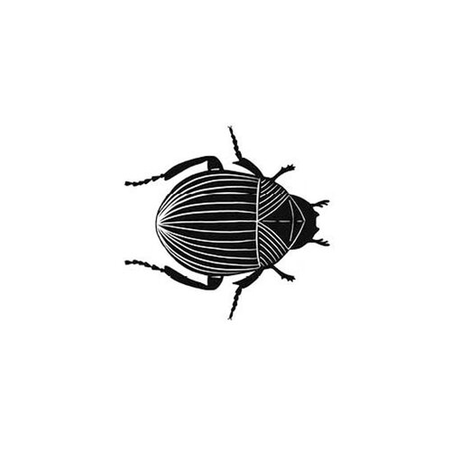 Stempel Käfer