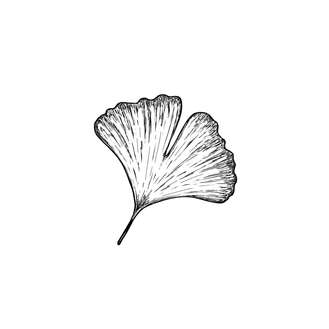 Stempel Ginkgo mini