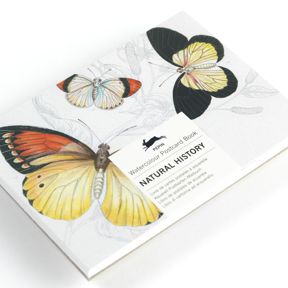 Pepin Postkartenbuch zum Bemalen «Natural History»