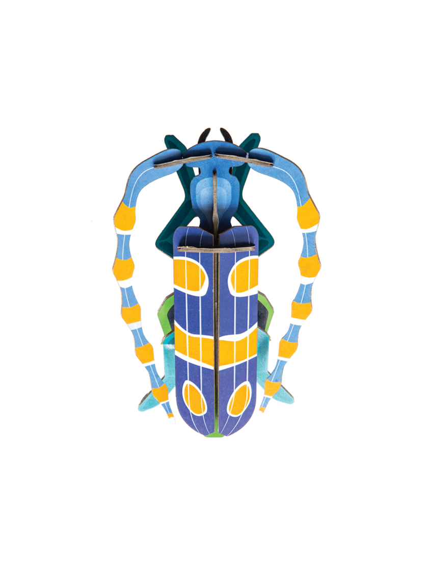 studio ROOF Studio ROOF «Beetle Rosalie»