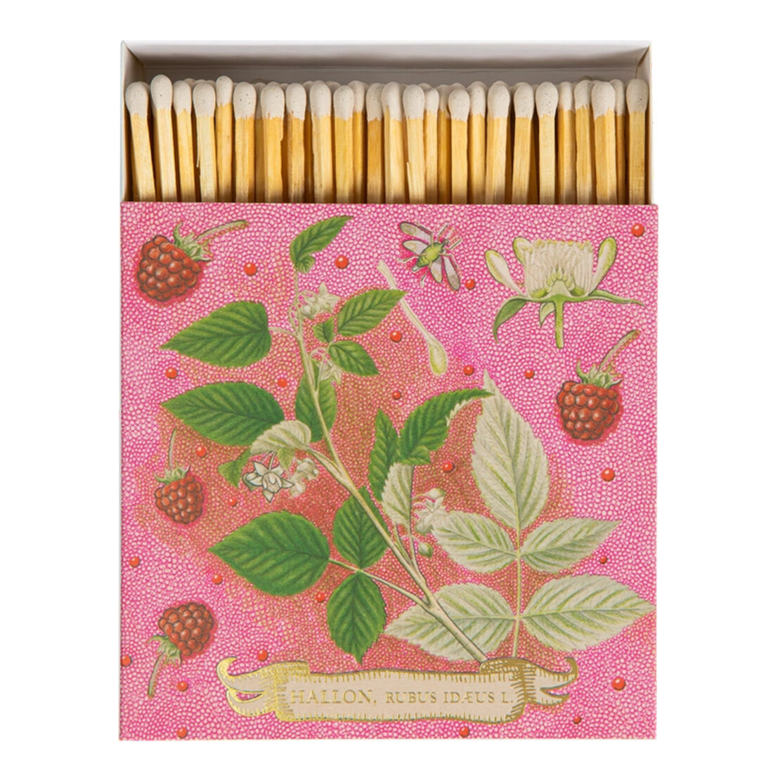 Archivist Gallery Matchbox «Rose Framboise»