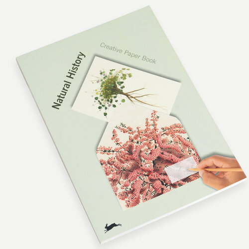 Pepin Kreative Papiere «Natural History»