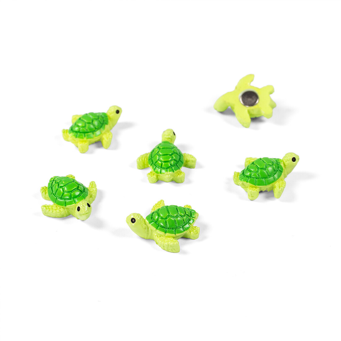 Trendform Magnetset «Baby Turtle»